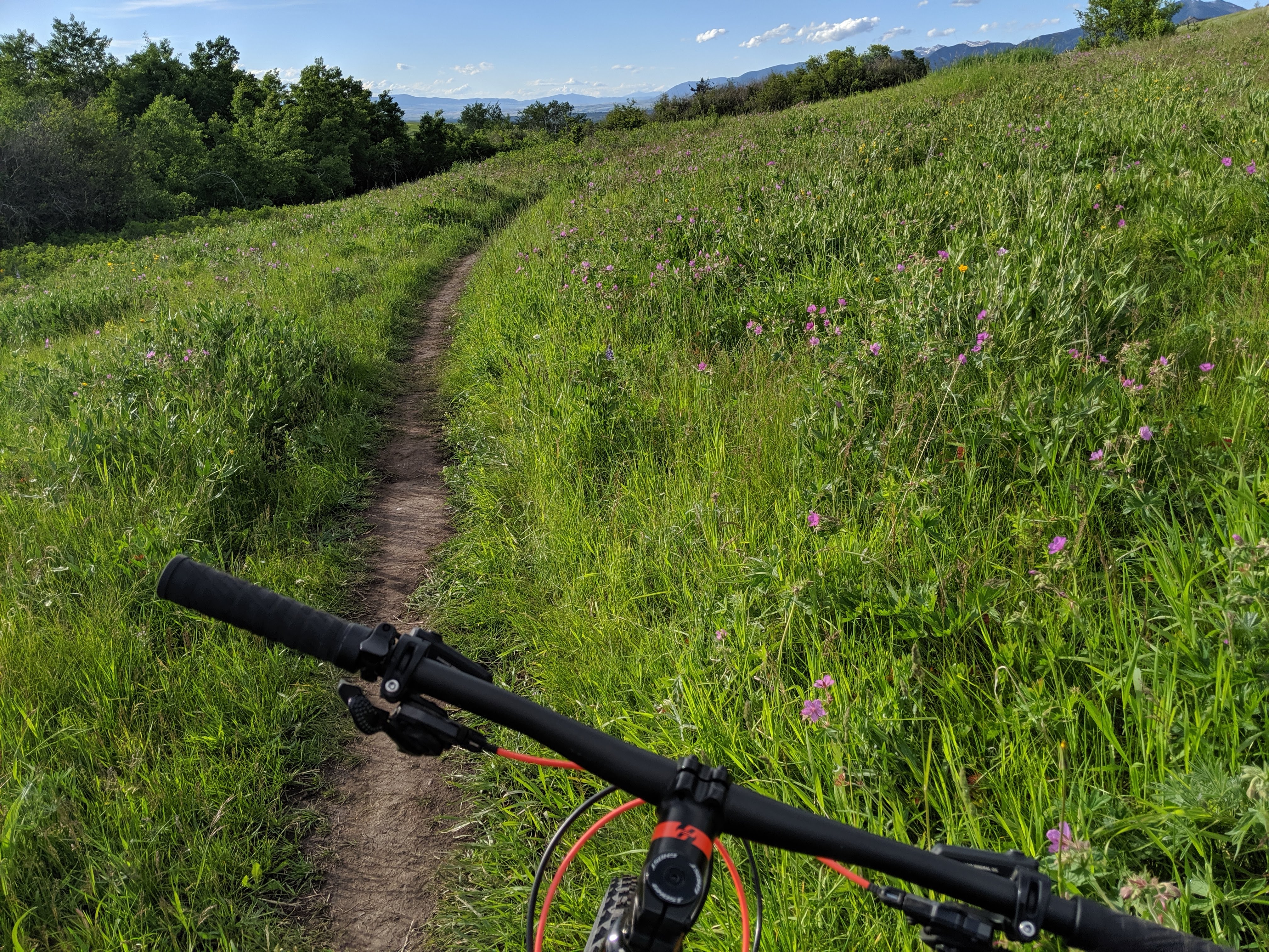 Mountain Biking, Triple Tree Connector trail