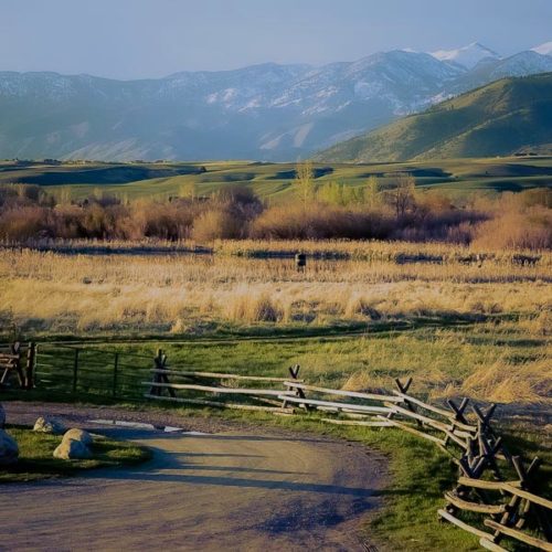 Picture of homes in Belgrade, Montana