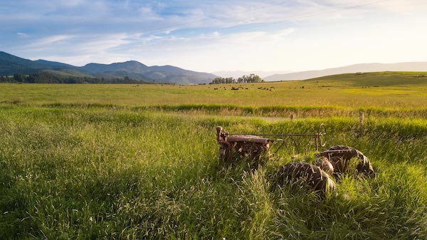 picture of land and acreage in Montana