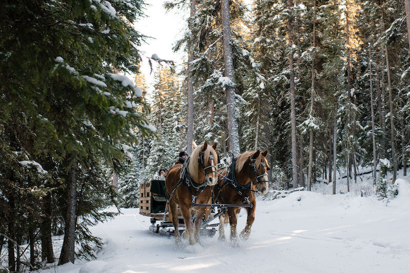 sleigh rides at lone mountain ranch | 5 big sky winter activities