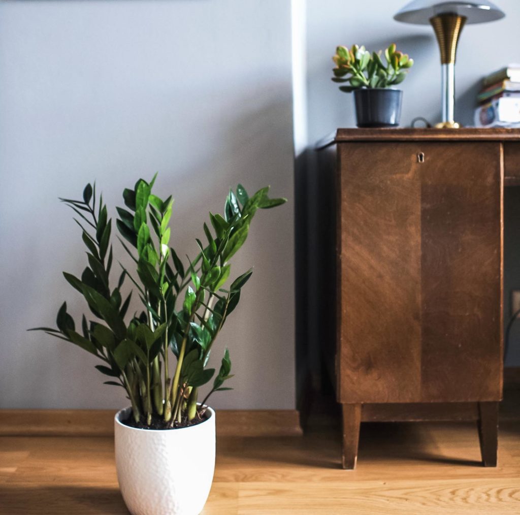 keep-fresh bozeman staging| staging your home for a quick sale